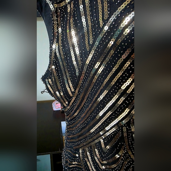 1920s Great Gatsby Flapper Plus Size Sequin Fringe Cap Sleeve Dress Vintage 2X - Picture 7 of 15